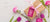 Gifts and Specials