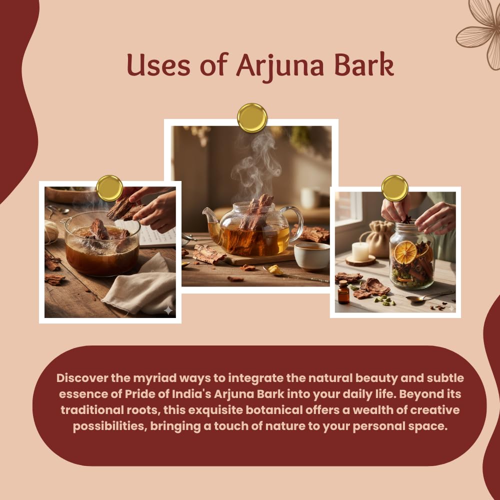 Natural Arjuna Bark Whole, Half Pound (3.53oz - 100gm) Pack - Pride Of India
