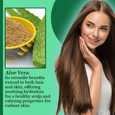 Hair Bliss- Natural Aloe Vera Herbal Hair & Skin Conditioning Powder- 12 Individual Sachets (10 gm each)- Reusable Brush & Tray Included - Pride Of India
