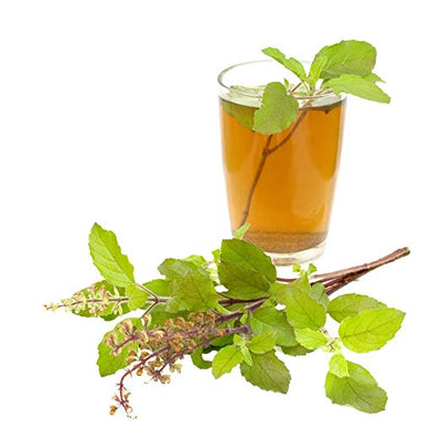 Organic Tulsi (Holy Basil) Cut & Sifted - Pride Of India